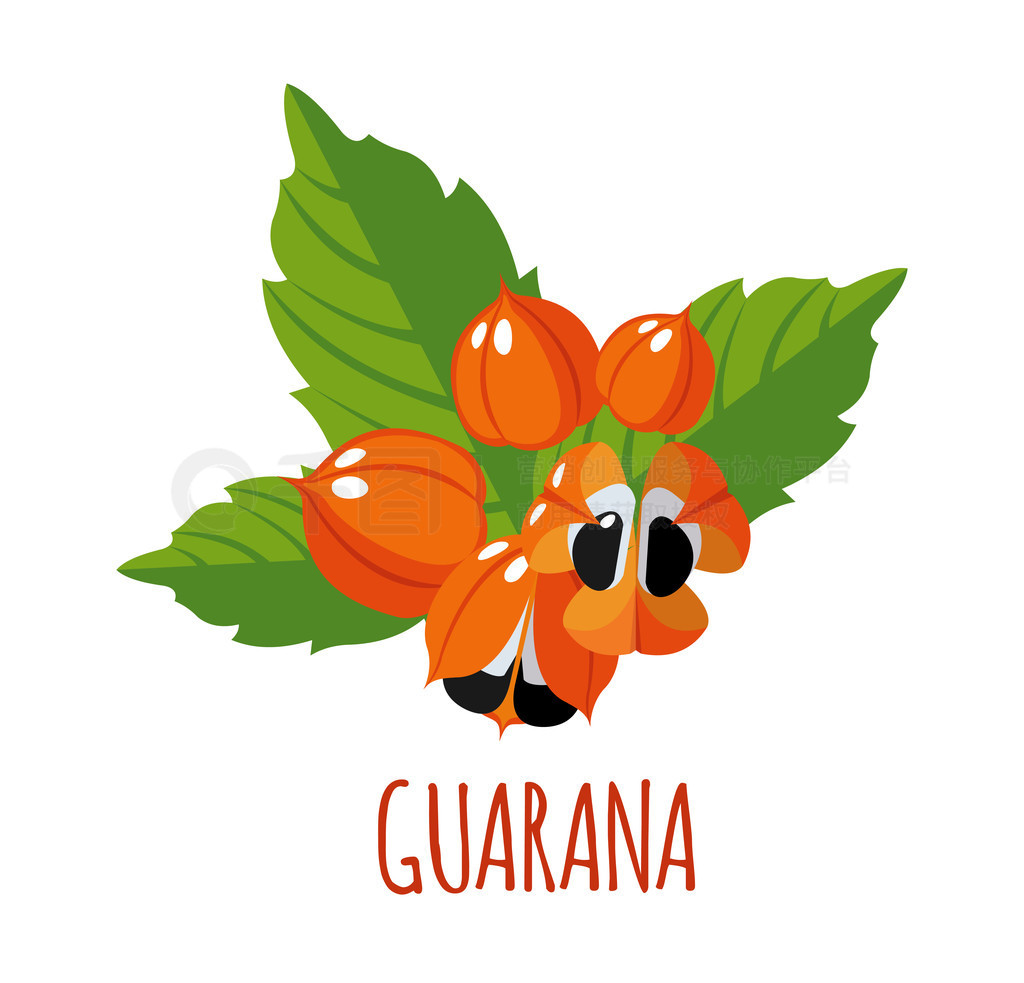 ͨGuaranaֲͼ