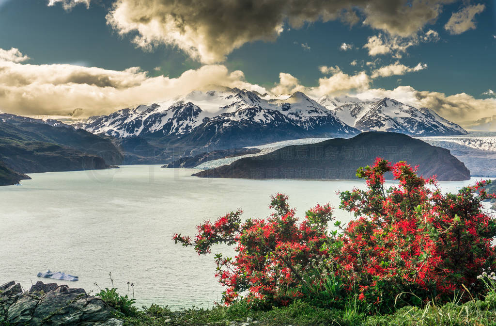 ˹W-Circuit Torres Del Paine