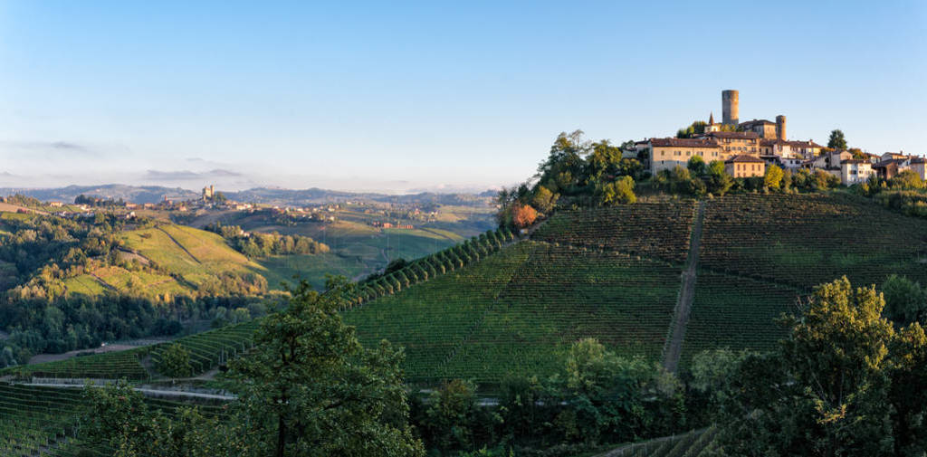 Le Langhe  Falletto  Serralunga d 