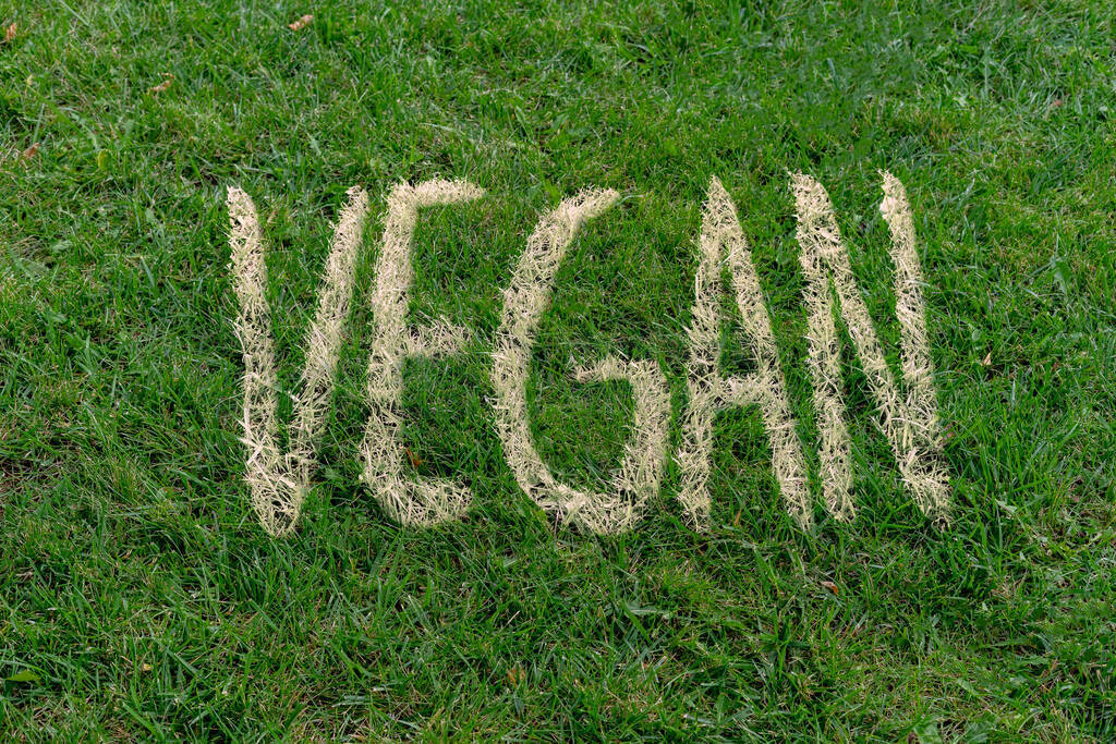 ɫݵϵİɫĸVEGAN