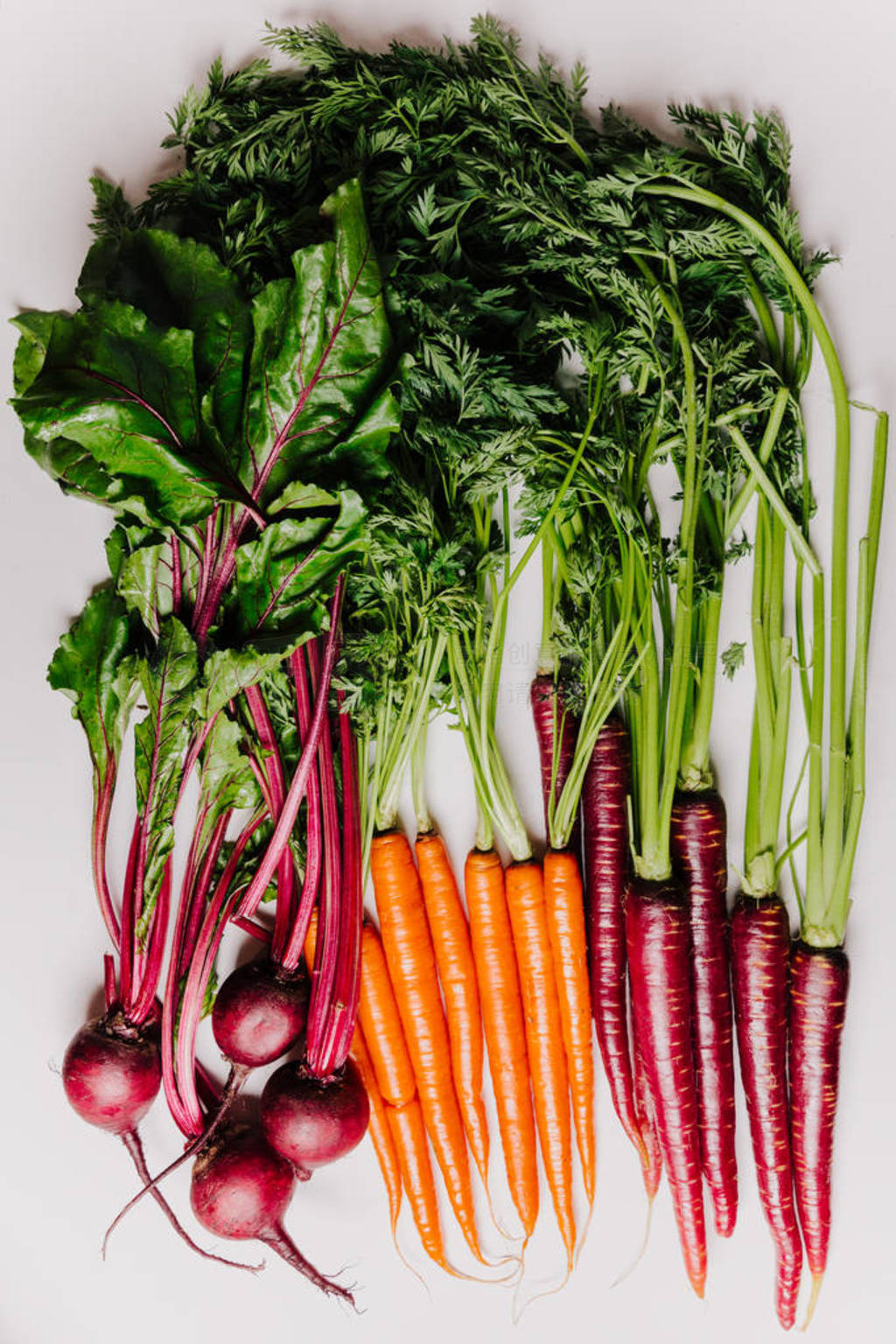 An assortment of loose raw beets and carrots