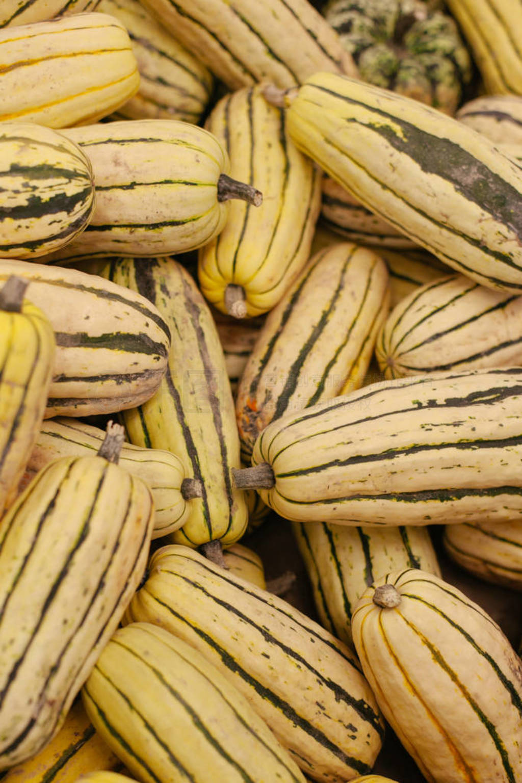 A pile of delicata squash on display at farmer's market