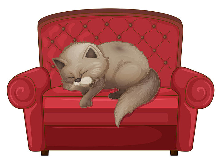 猫在沙发后面的简笔画图片