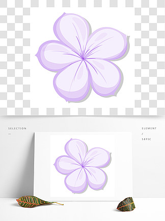 五瓣紫色花
