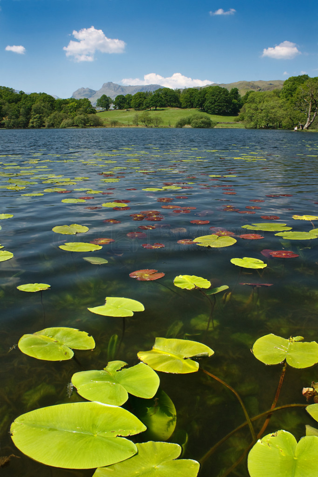 loughrigg 