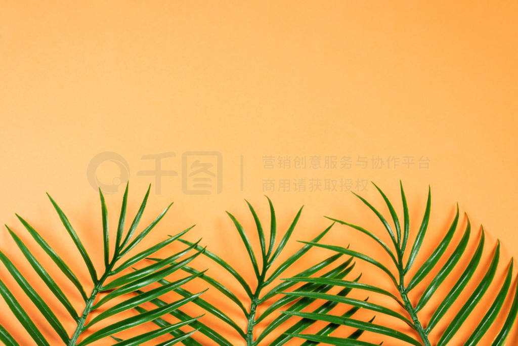 Tropical green leaf lay on orange background. Top view.