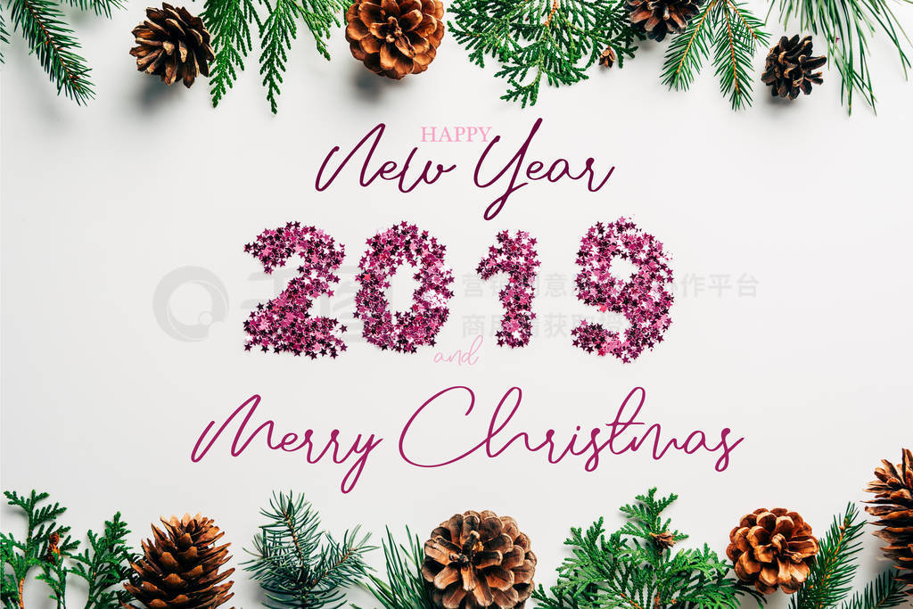 happy new year 2019 and merry christmas"