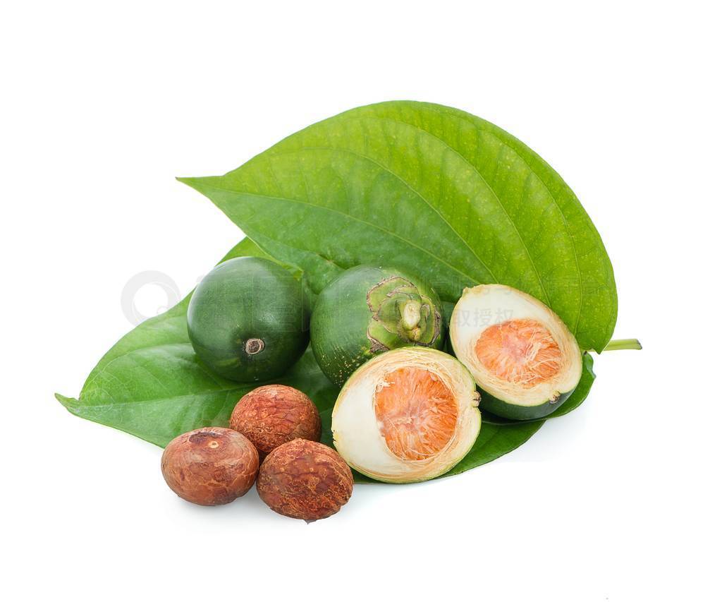 fresh betel nut on betel leaf isolated on white background