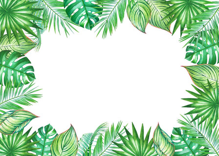 水彩画框与椰子棕榈树的叶子隔离在白色背景上。 用于设计婚礼邀请函贺卡的插图，带空空间的文本。