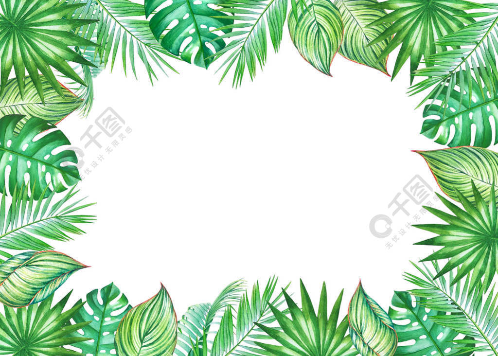 水彩画框与椰子棕榈树的叶子隔离在白色背景上。 用于设计婚礼邀请函贺卡的插图，带空空间的文本。