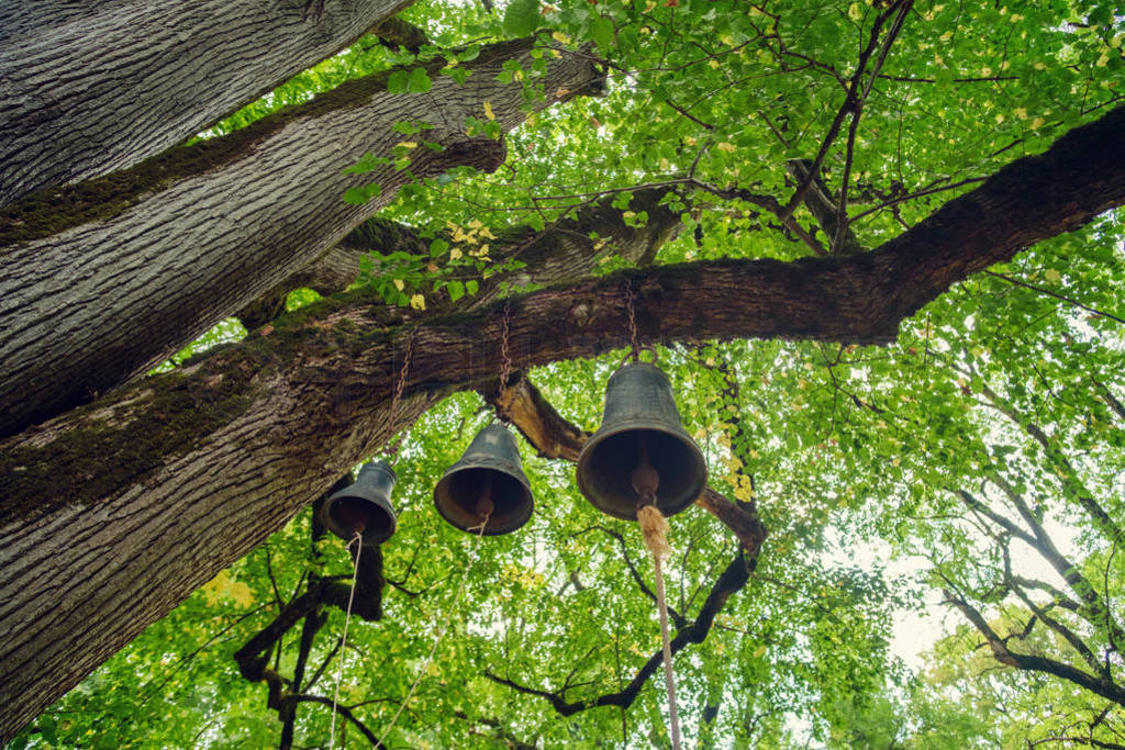 Bells hanged on a large branch