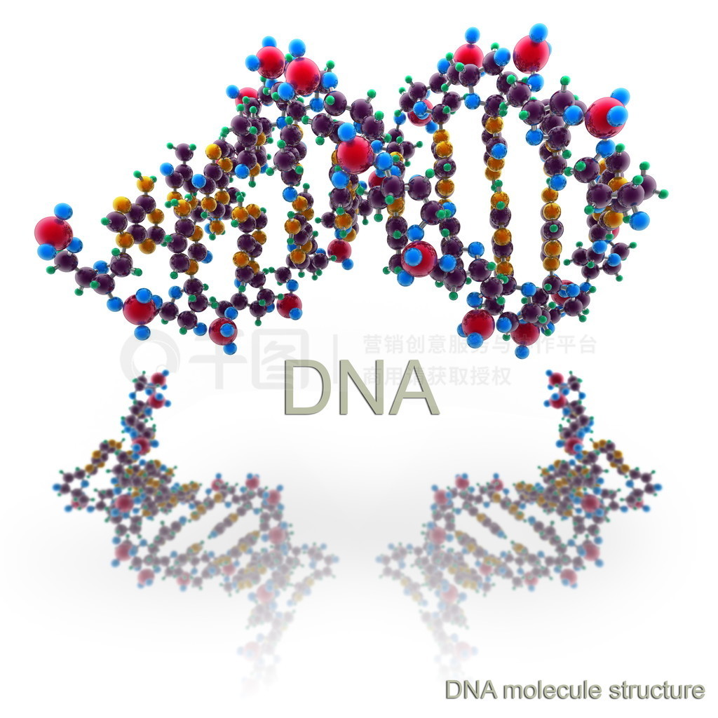  dna ṹ