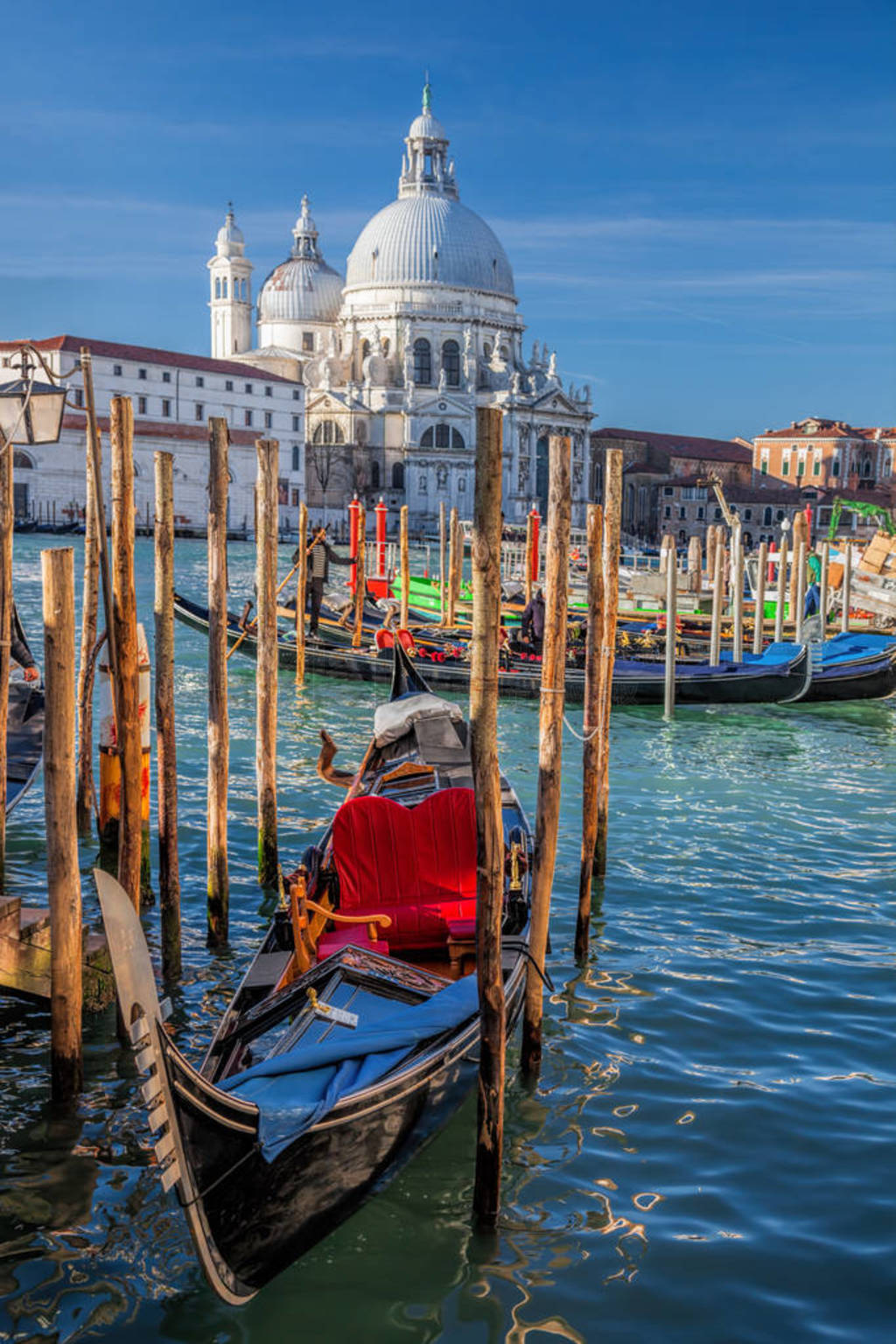 ˺뷴Դʥ della Salute ˹