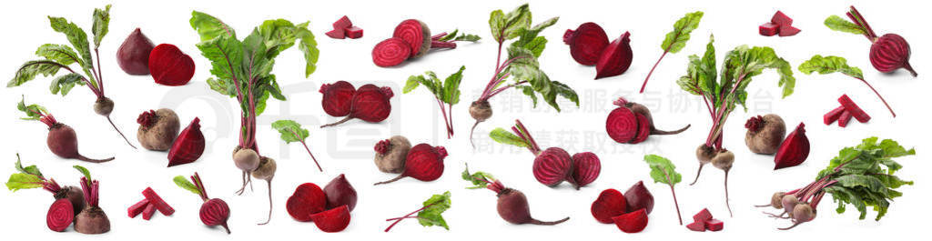 Set of delicious beets on white background. Banner design
