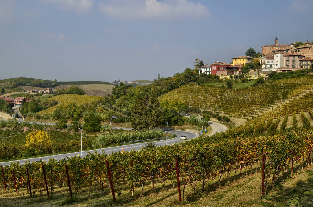 Neive, Piedmont, Italy. October 2018.