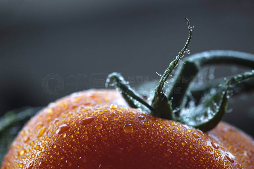 extreme closeup of a wet ripe tomato. background of close up ima