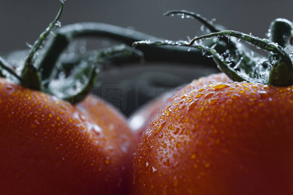 extreme closeup of a wet ripe tomato. background of close up ima