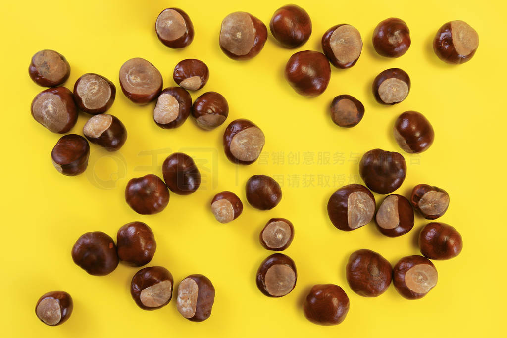 Top view, horse chestnuts (Aesculus hippocastanum) scattered on