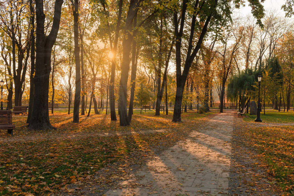 Autumn park with alleys in the beams of rising sun