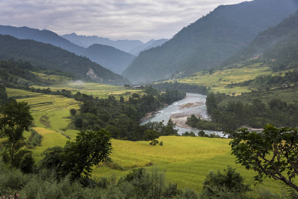 Ұڹ, Punakha, 