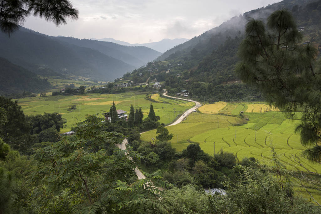 ׯĸߵĿڹ, Punakha, 