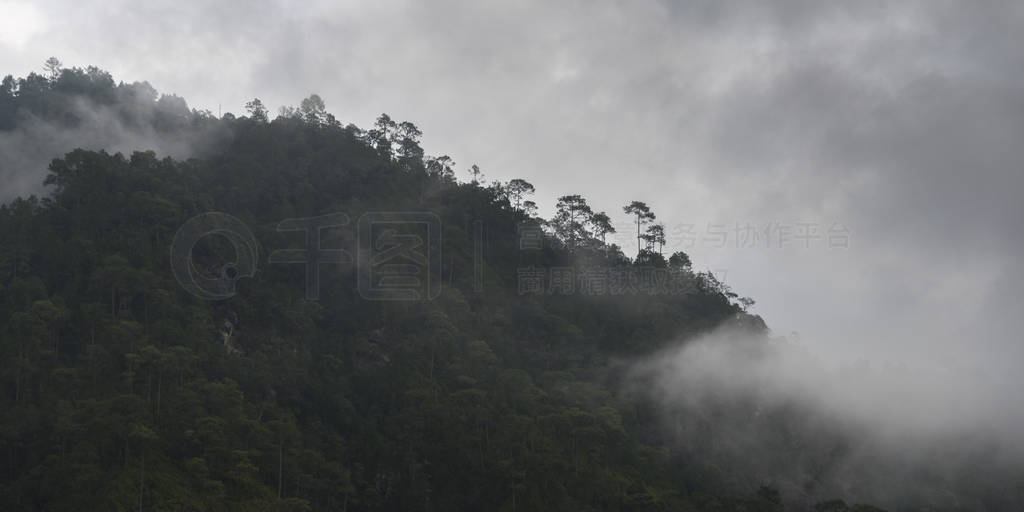 ɽϵ, Punakha, Punakha , Punakha , 