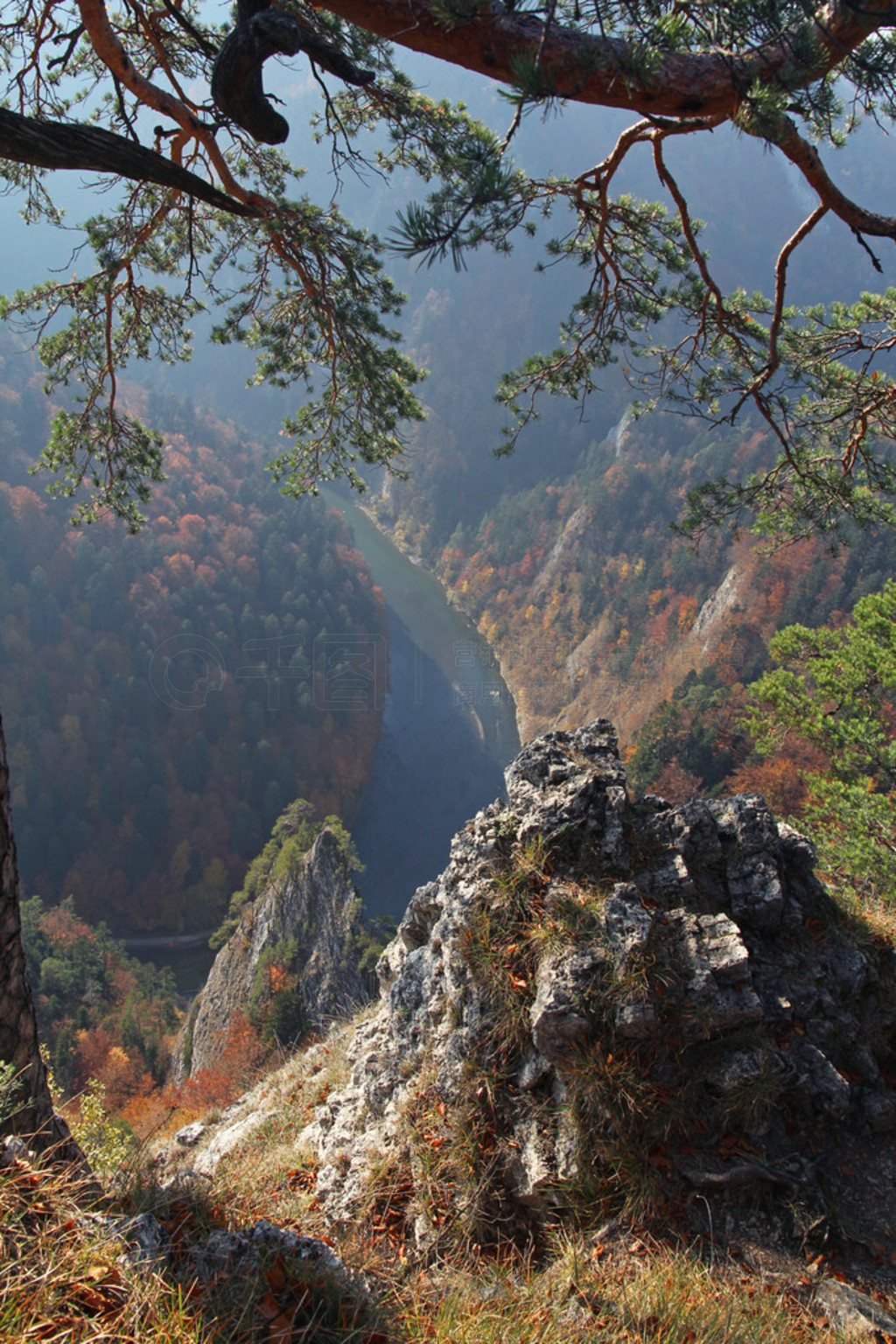  Pieniny ɽĶҮ Sokolica ɽ vief