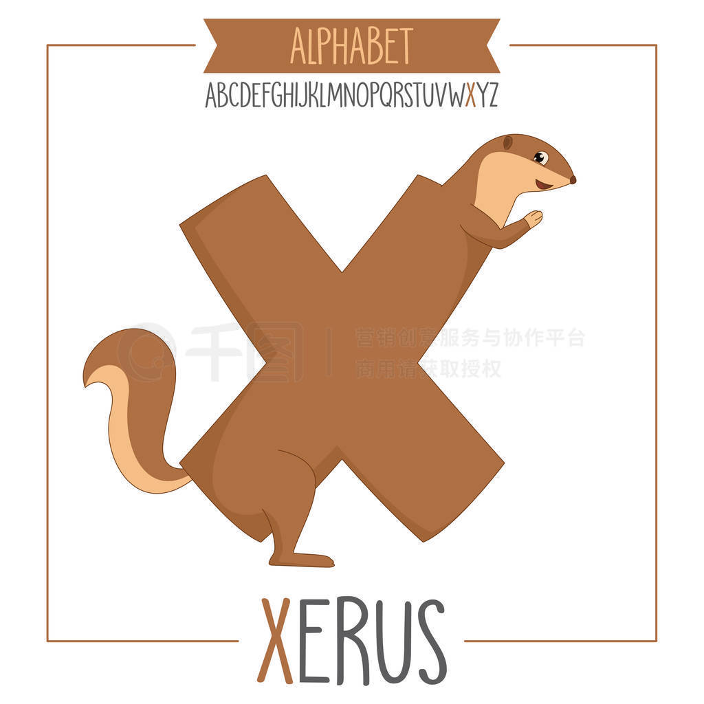 ͼĸ X  Xerus