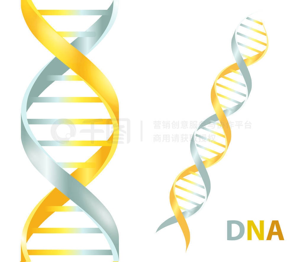 ɫɫ Dna ͼꡣɫϵʸͼ