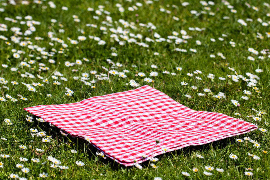 Picnic background. Red checkered picnic cloth on a daisy meadow