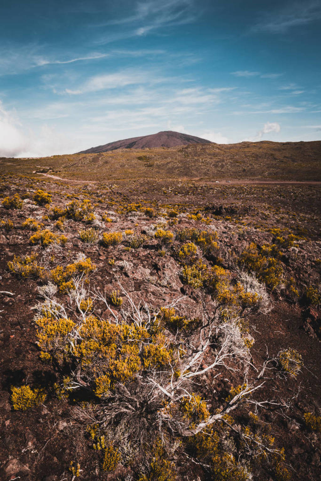 SablesƽԭFournaisePiton de la Fournaise