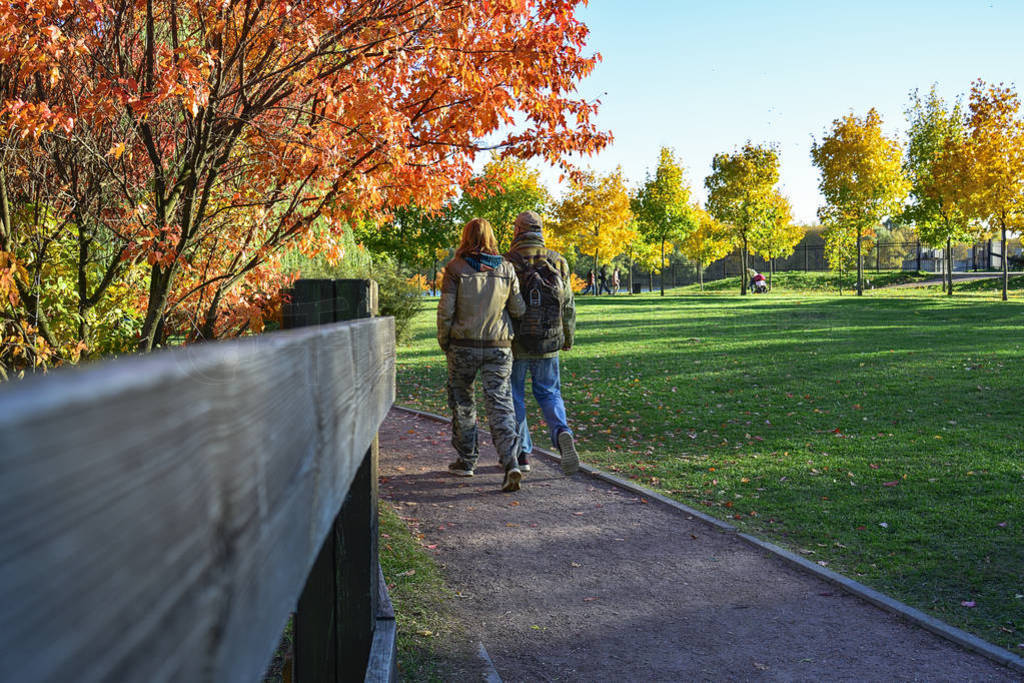 Autumn. People walk in the autumn park.