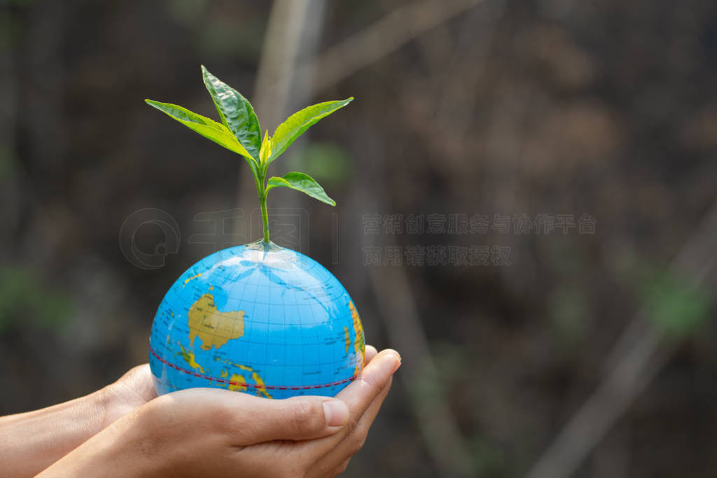 Trees that grow on the globe are in human hands. Planting trees