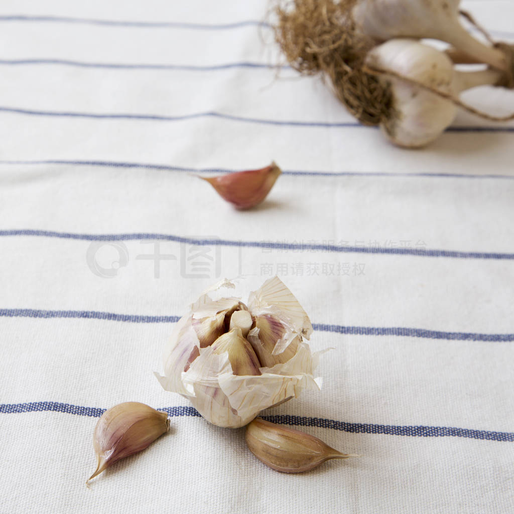 Garlic cloves and garlic bulbs on cloth, low angle view.