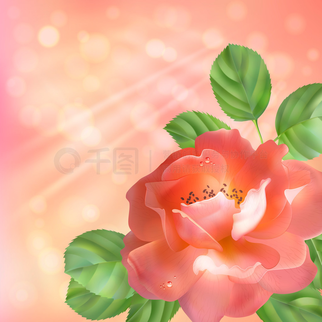Floral bakgrund med rose, sol och osk?rpaܱõ壬̫ģ