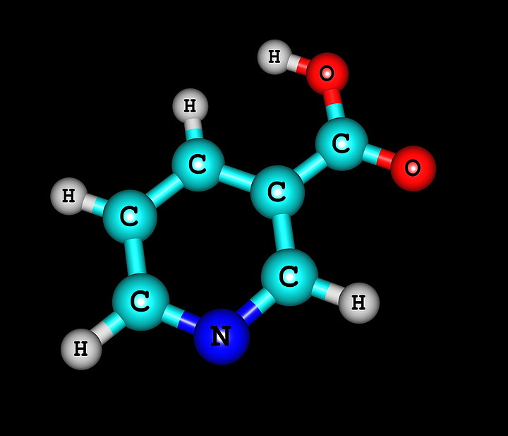 烟酸化学结构图片