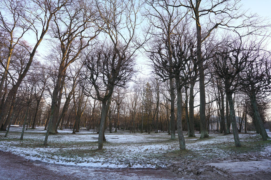 winter season and tourist Grand Cascade and garden in Peterhof,