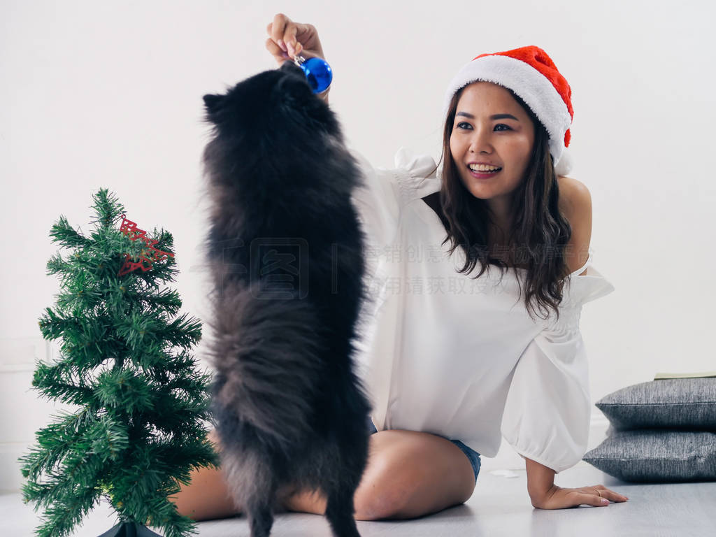 Happy Asian woman and her black dog decorating christmas tree,