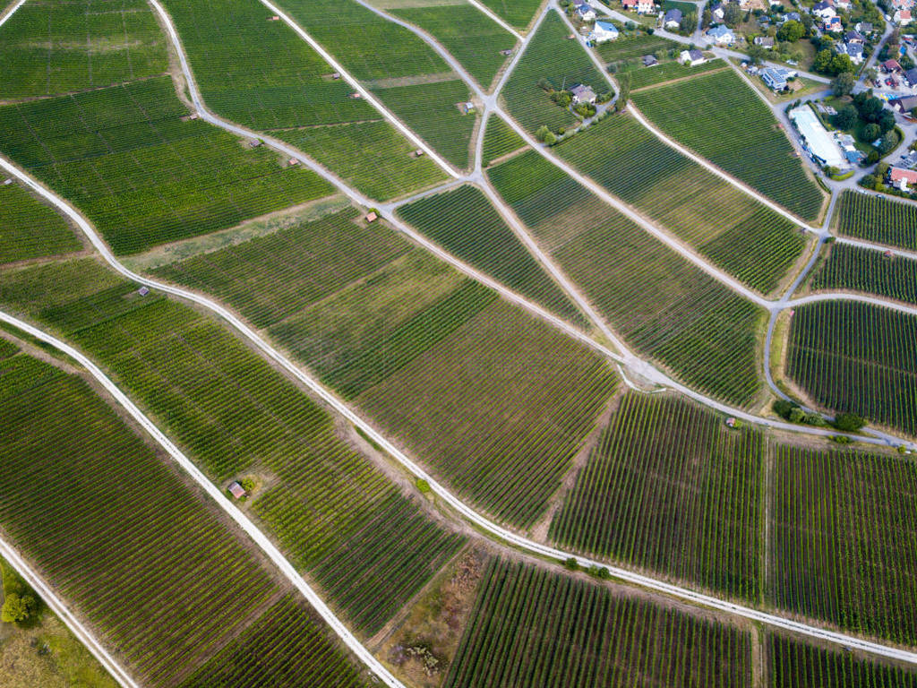 ˻Ĵׯ wineyards 