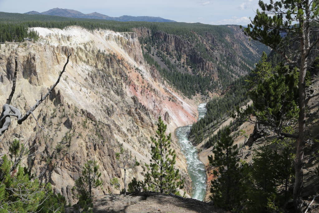 yellowstone national park the nature