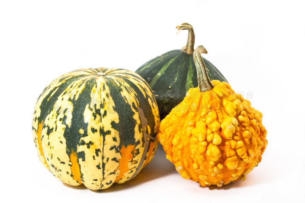 ڰɫǰ pumkins