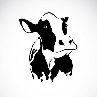 牛的矢量图像