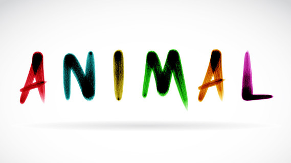 英文字母写声明动物用油漆