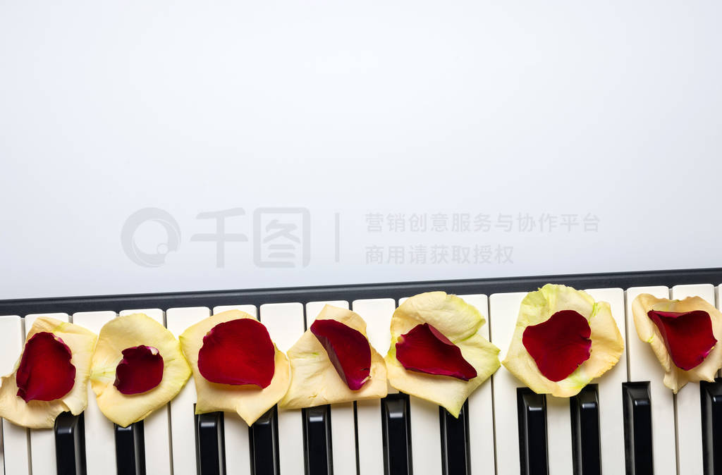 Piano keys with red and white rose flower petals, isolated, top