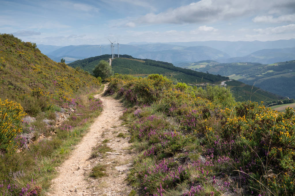 Grandas de SalimeFonsagradaAsturias֮ʥǸ翨ŵСȫ