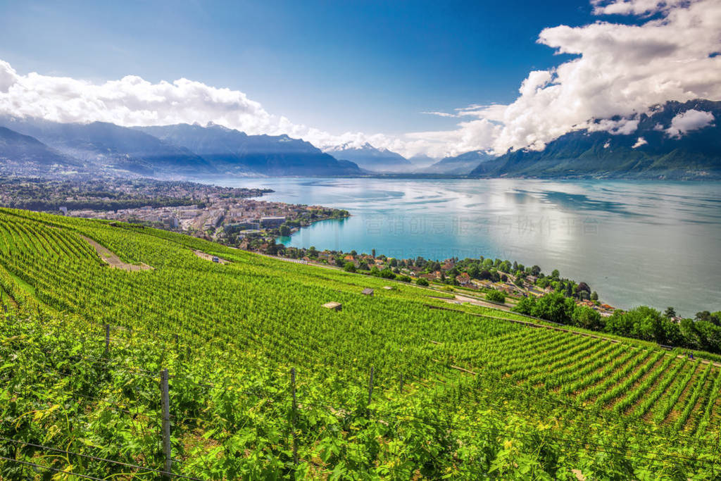 ʿ˹ɽߺ԰ Lavaux ȫ, , ʿ, ŷ