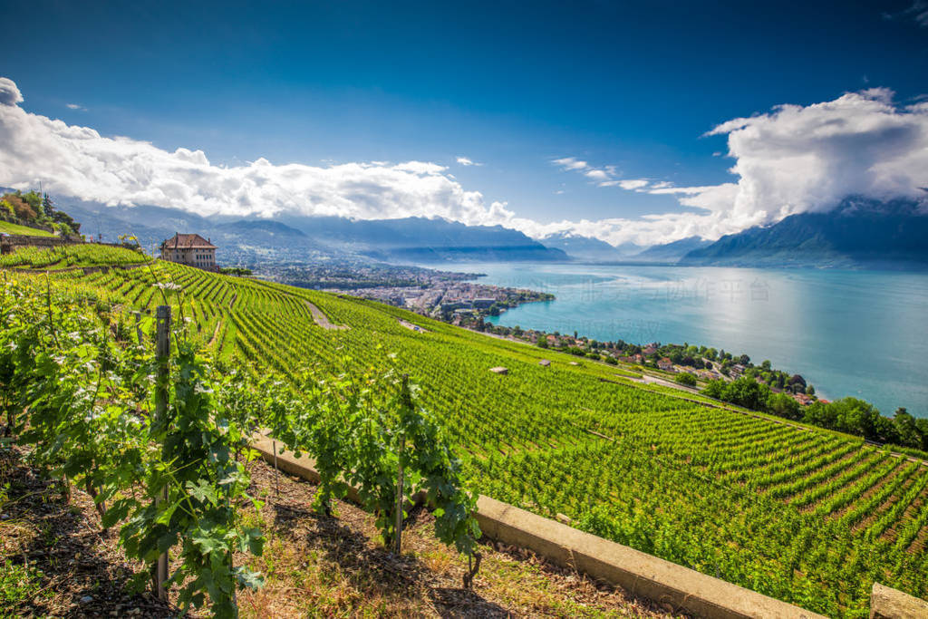 ʿ˹ɽߺ԰ Lavaux ȫ, , ʿ, ŷ