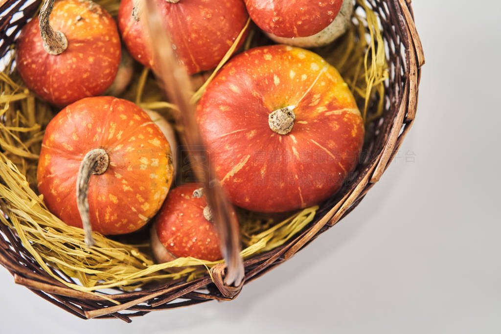 Basket with pumpkins on a white background