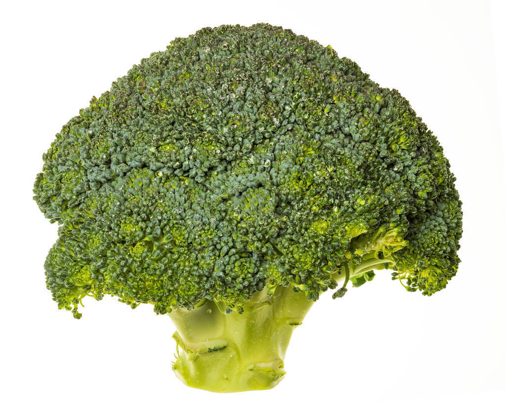 Broccoli (brocolli, brocoli, brocoli, brokoli, sprout, brassica
