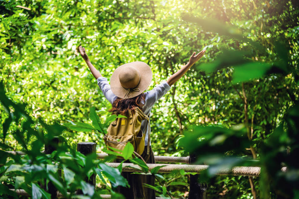 women travel relax nature in the holiday. Nature Study in the fo